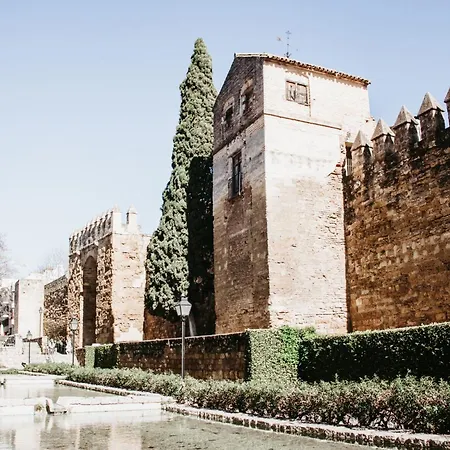 Atico Puerta Almodovar * Córdoba